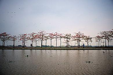 《剪那根线！》登陆Steam 好评拆弹心理博弈新游